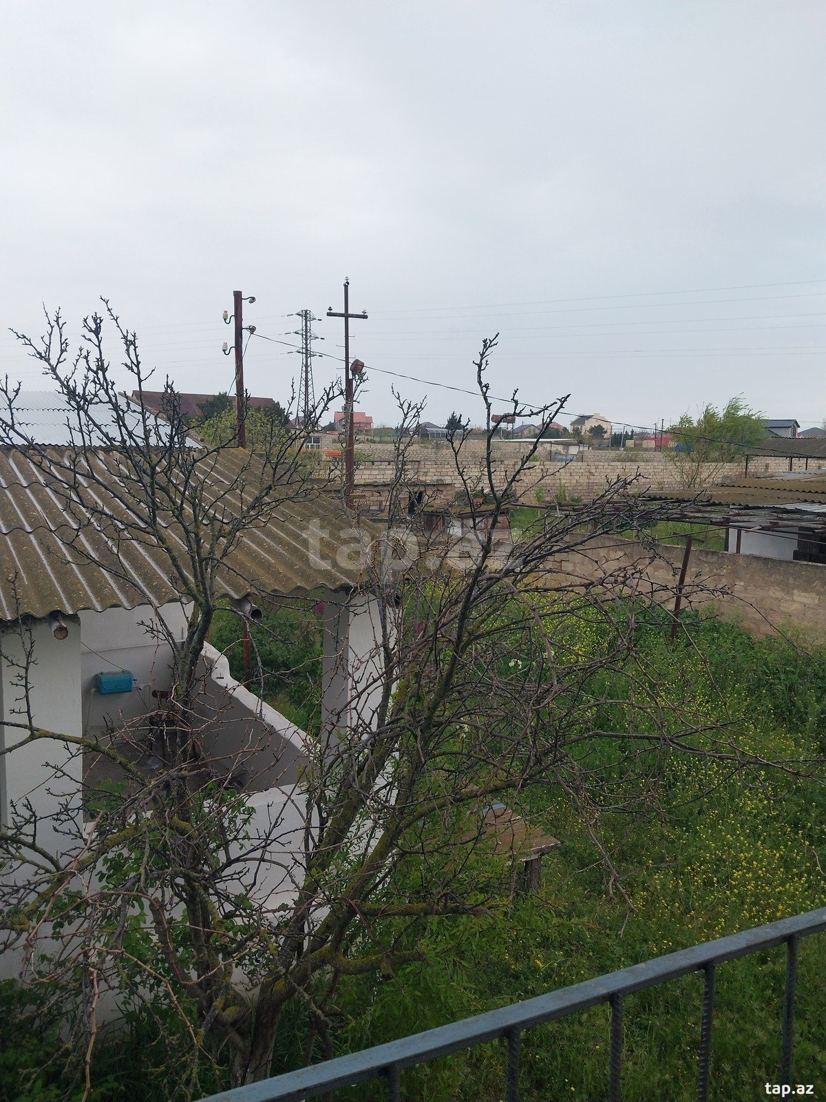 18.5 sot torpaq sahəsi, Albalılıq qəs. (3)