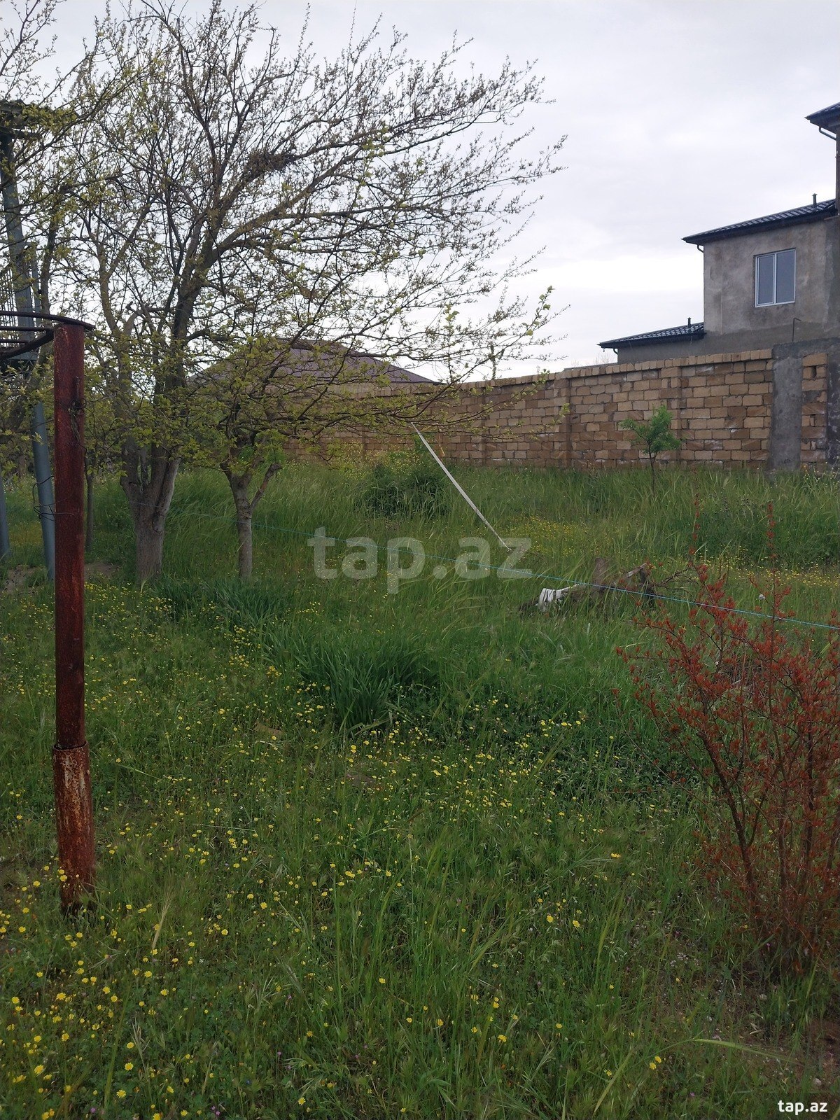18.5 sot torpaq sahəsi, Albalılıq qəs. (6)