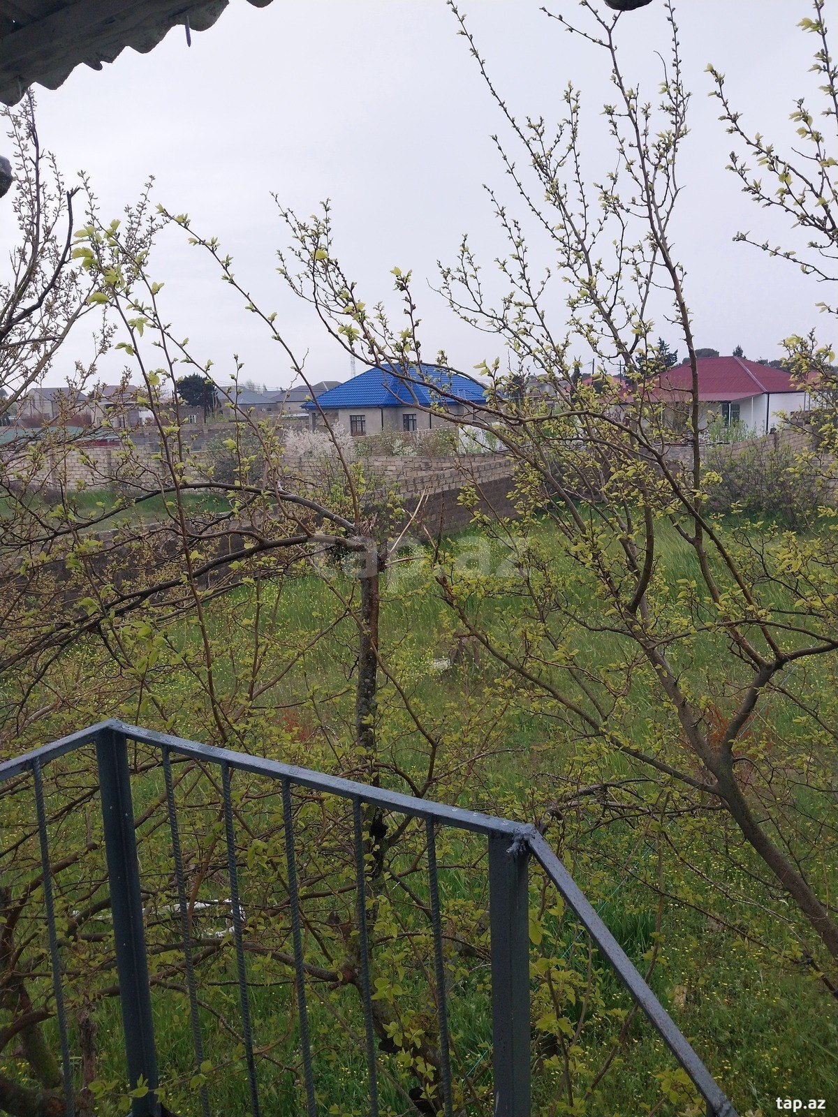 18.5 sot torpaq sahəsi, Albalılıq qəs.