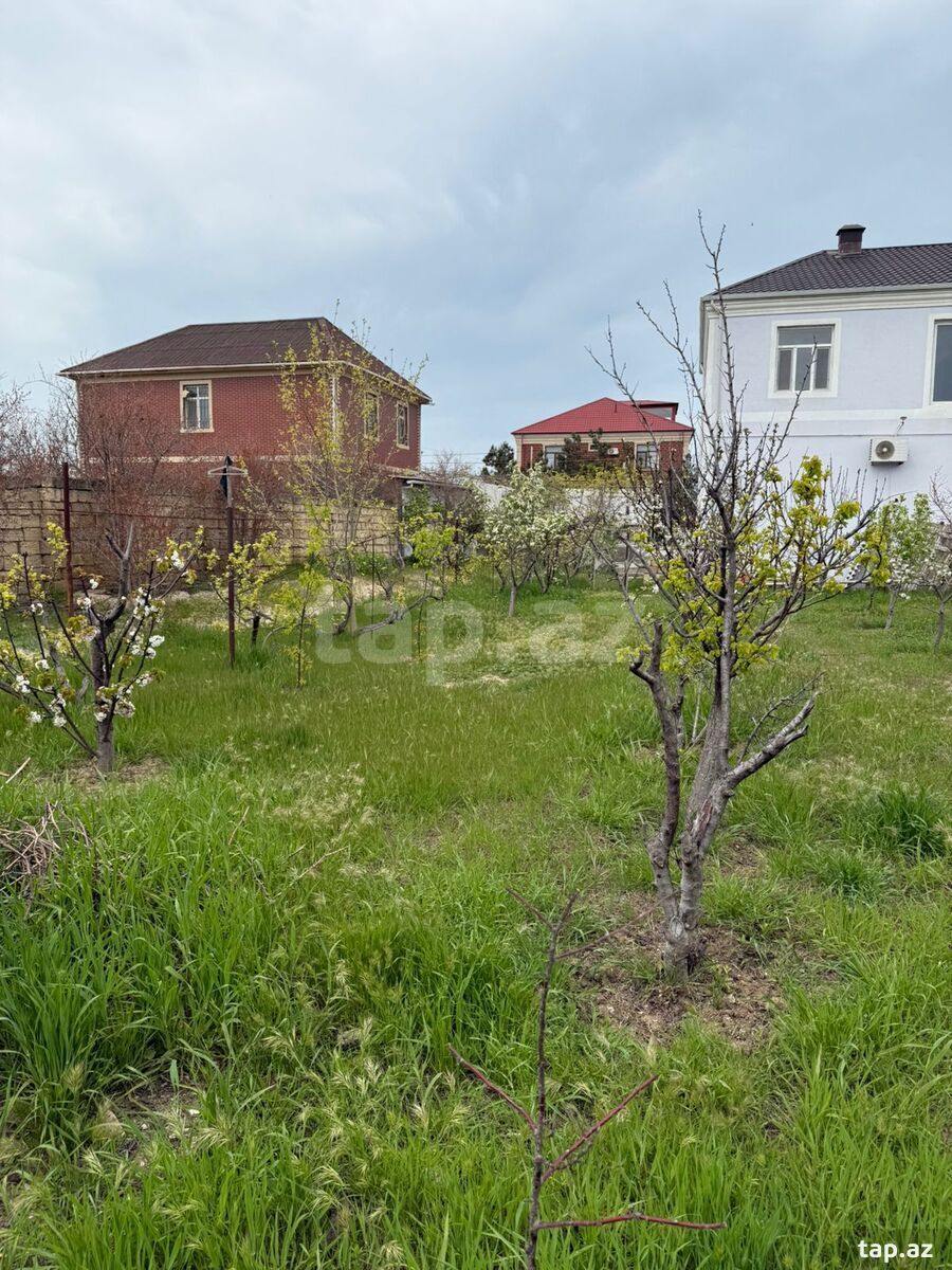 Həyət evi, Novxanı qəs. (24)