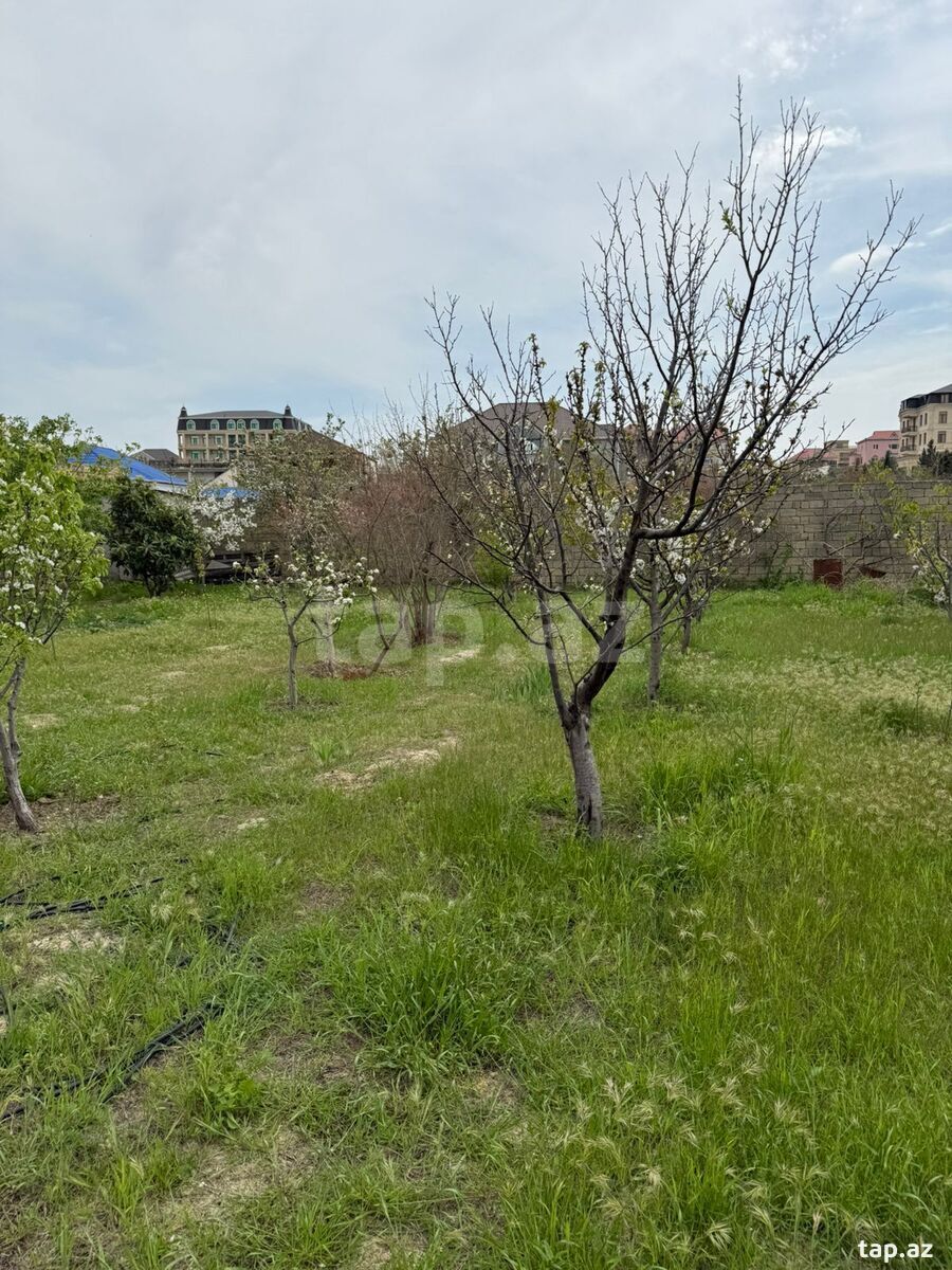 Həyət evi, Novxanı qəs. (27)