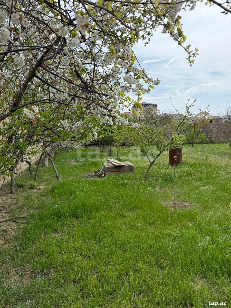Həyət evi, Novxanı qəs. (33)