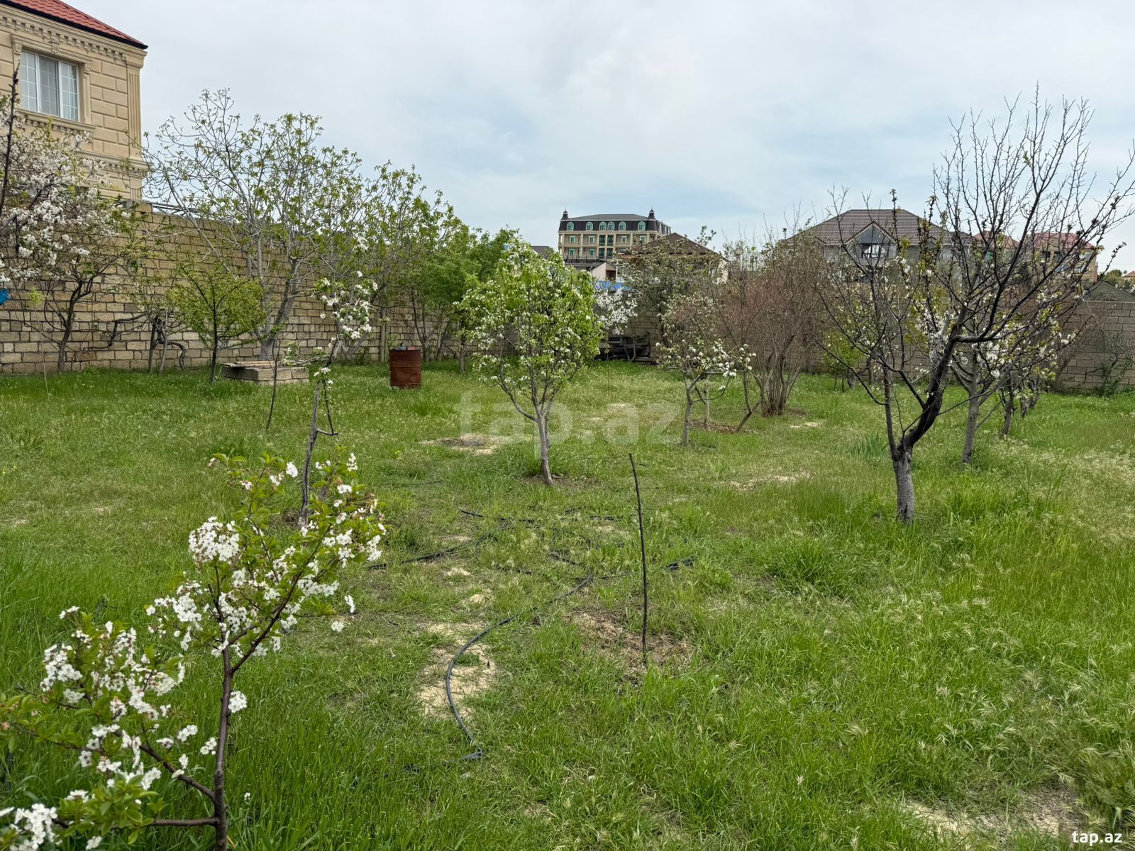Həyət evi, Novxanı qəs. (31)