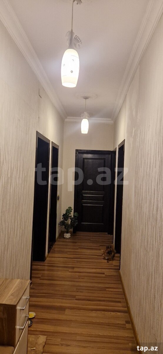 Həyət evi, Masazır qəs. (2)