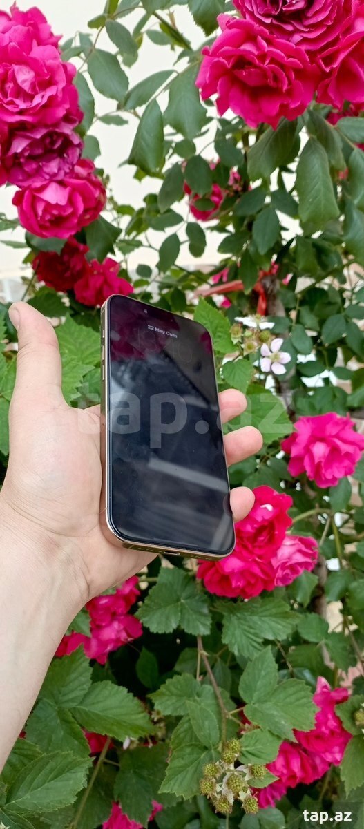 Apple iPhone 16 Pro Max Desert Titanium 256GB/8GB (5)