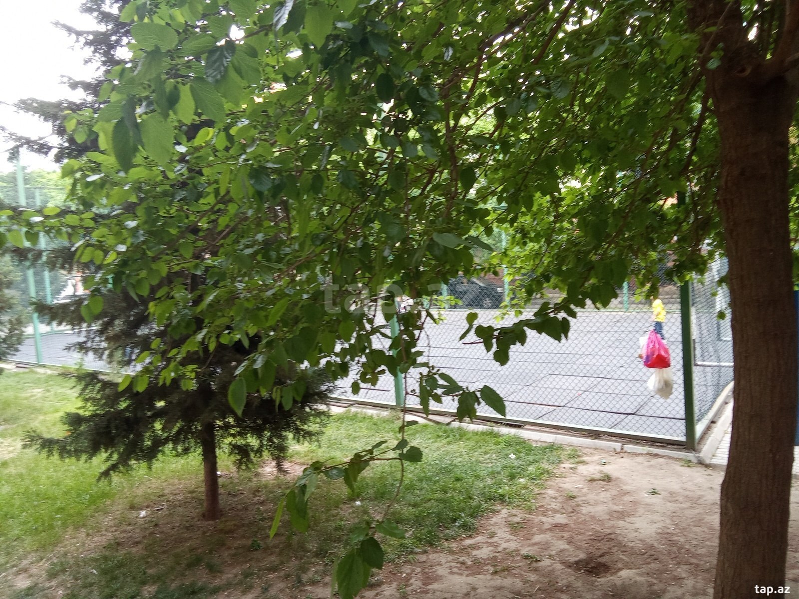 Ofis icarəyə verilir, 4-cü mkr. (22)