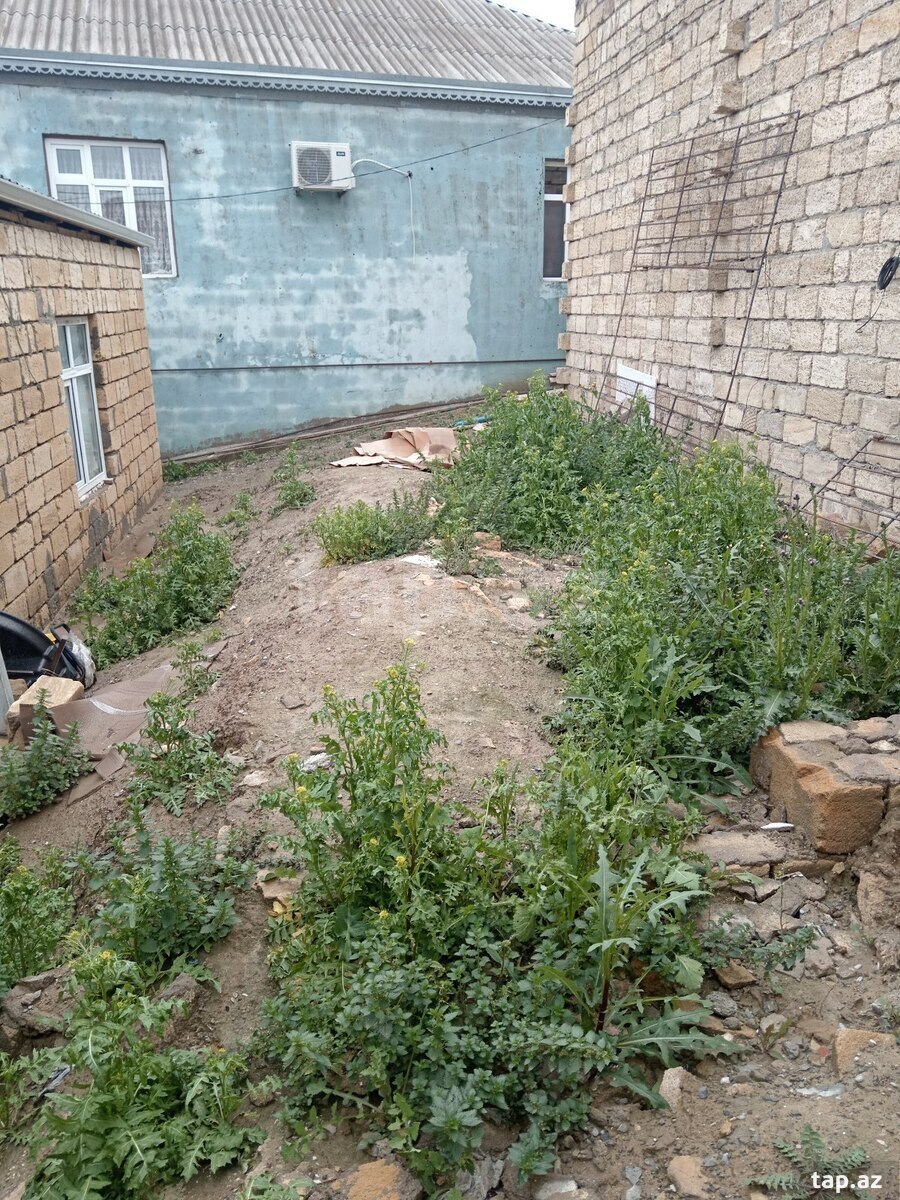Torpaq satılır, Sulutəpə, Bakı