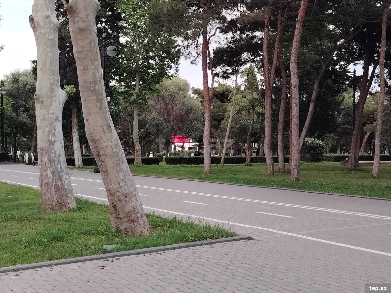 4-otaqlı mənzil, Səbail r., 175 m² (15)