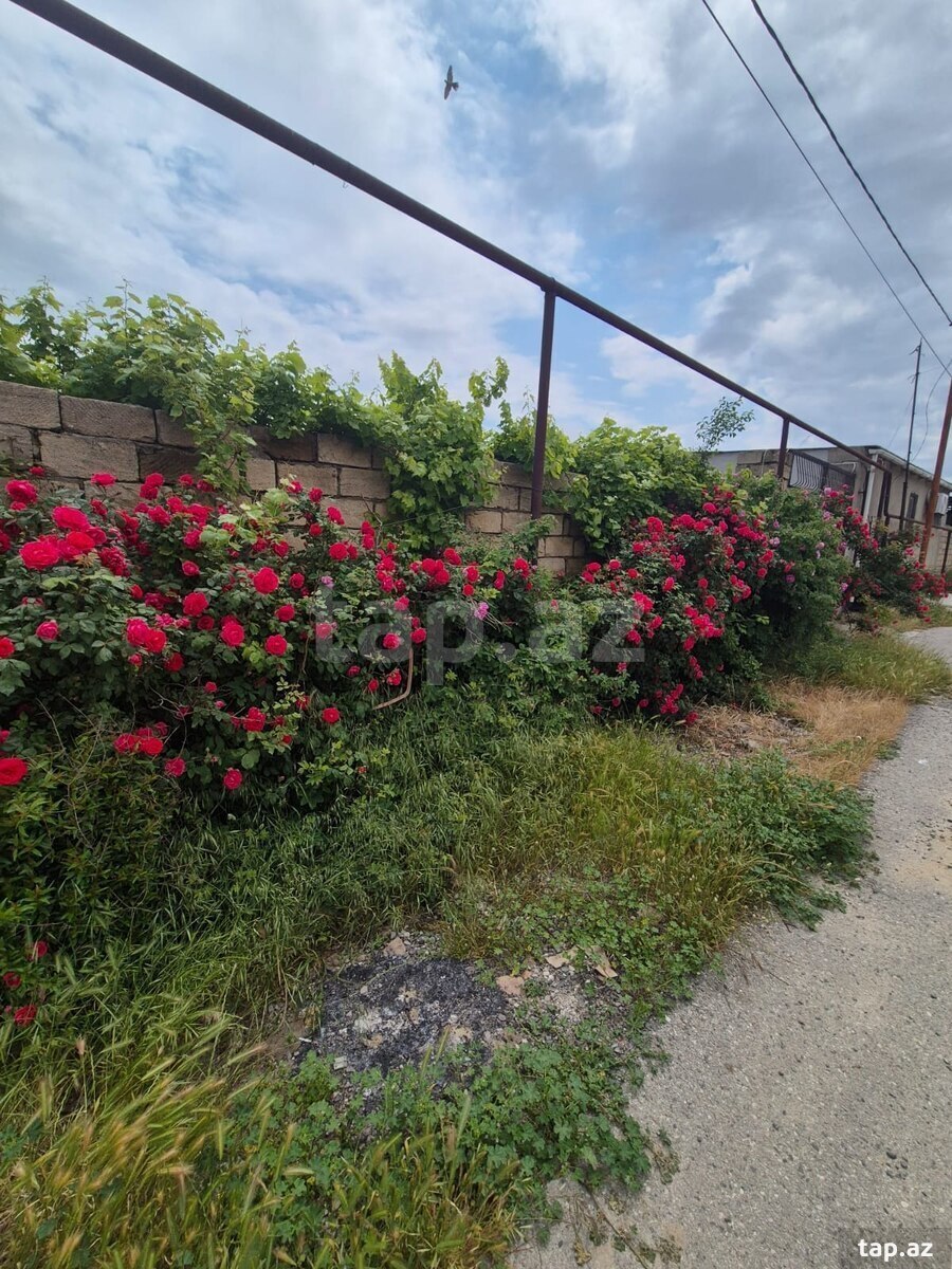 Həyət evi, Mehdiabad qəs. (17)