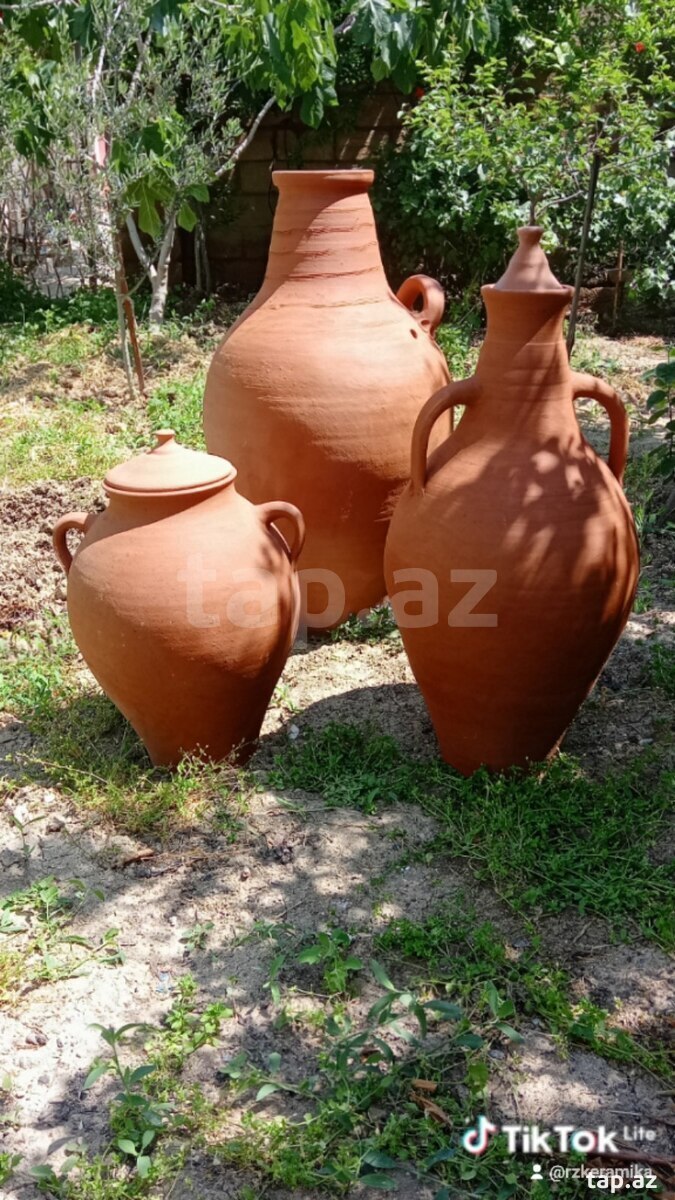 Saxsı nehrə (4)