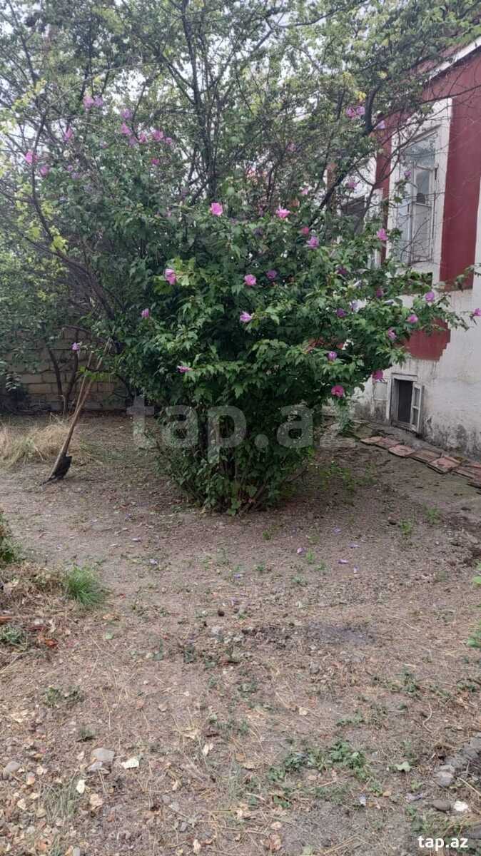 Bağ evi, Quba ş.