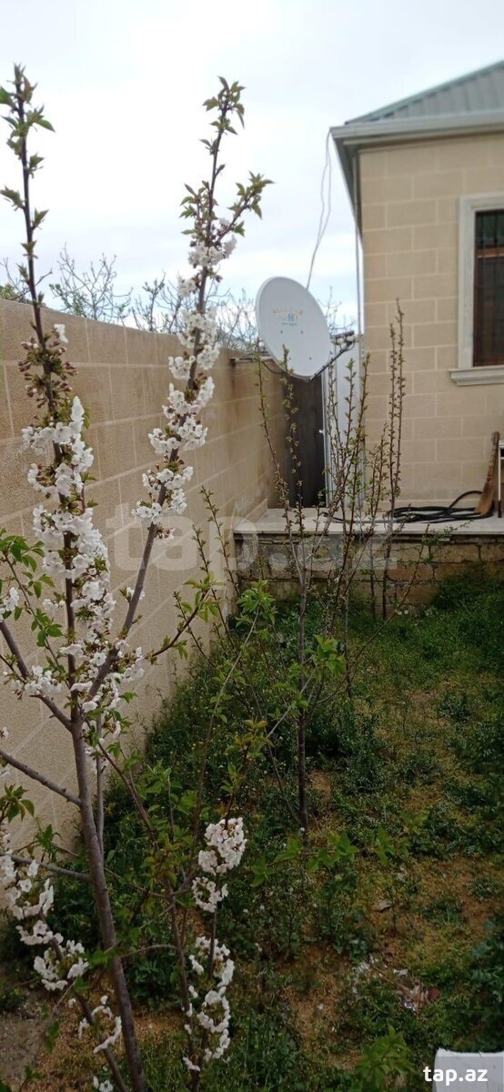Həyət evi, Saray qəs. (4)