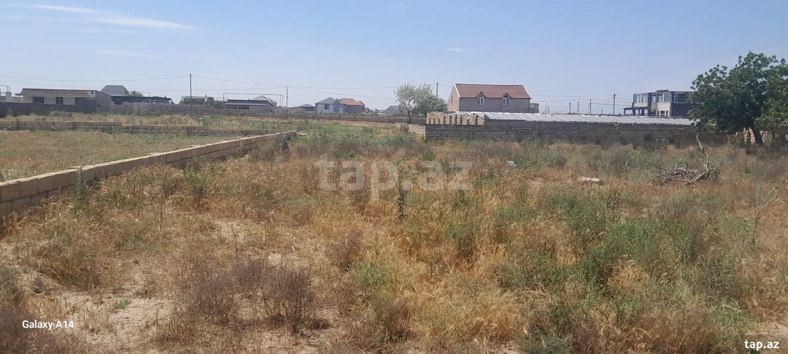 11.5 sot torpaq sahəsi, Nardaran bağlar massivi