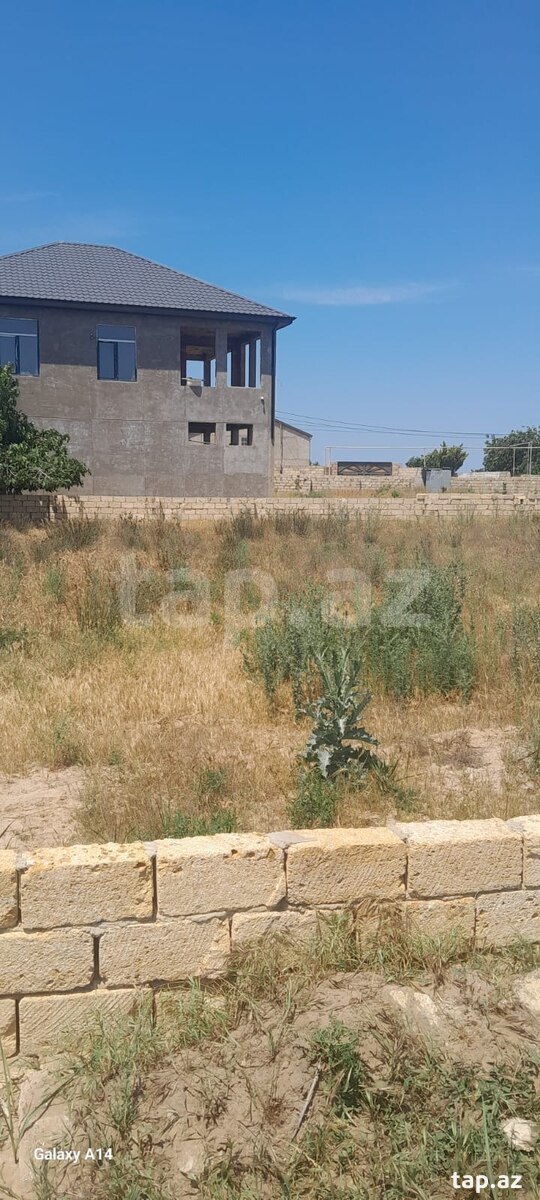 11.5 sot torpaq sahəsi, Nardaran bağlar massivi (3)