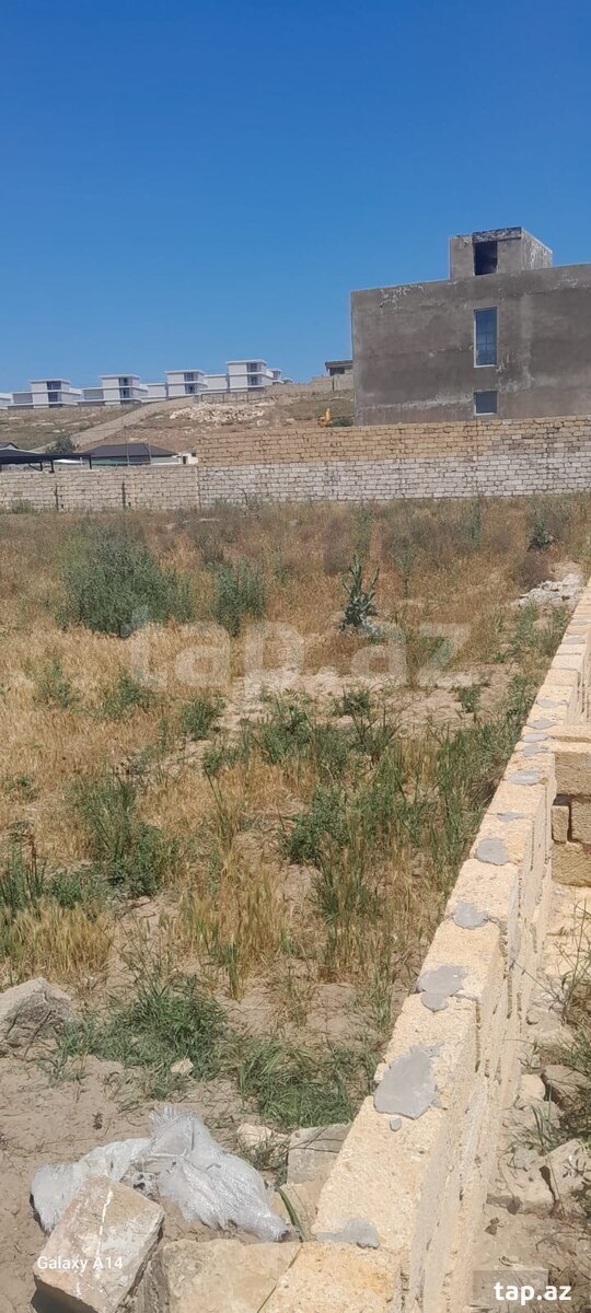 11.5 sot torpaq sahəsi, Nardaran bağlar massivi (2)