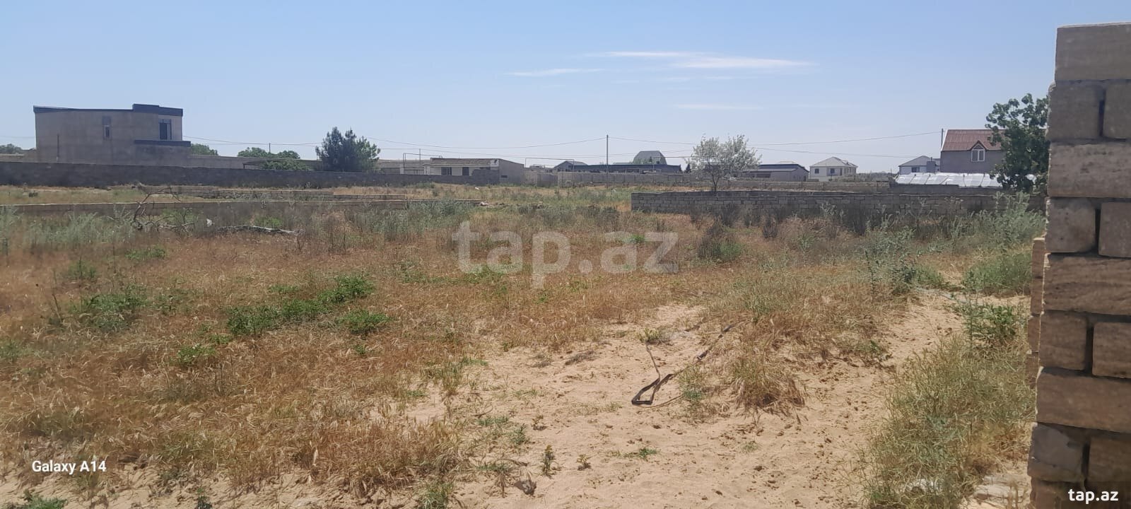11.5 sot torpaq sahəsi, Nardaran bağlar massivi (4)