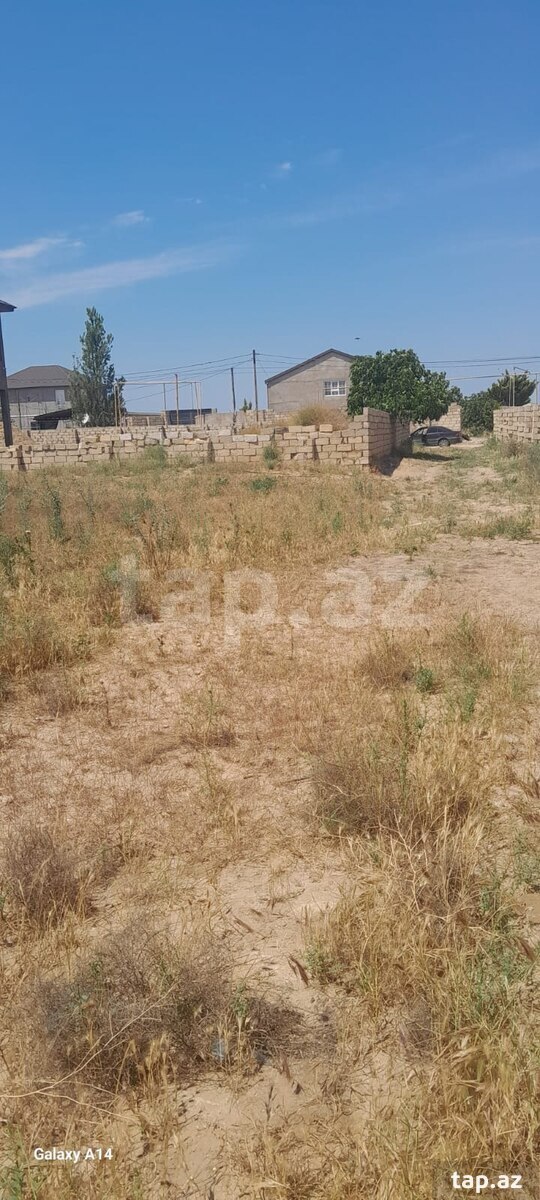 11.5 sot torpaq sahəsi, Nardaran bağlar massivi (5)