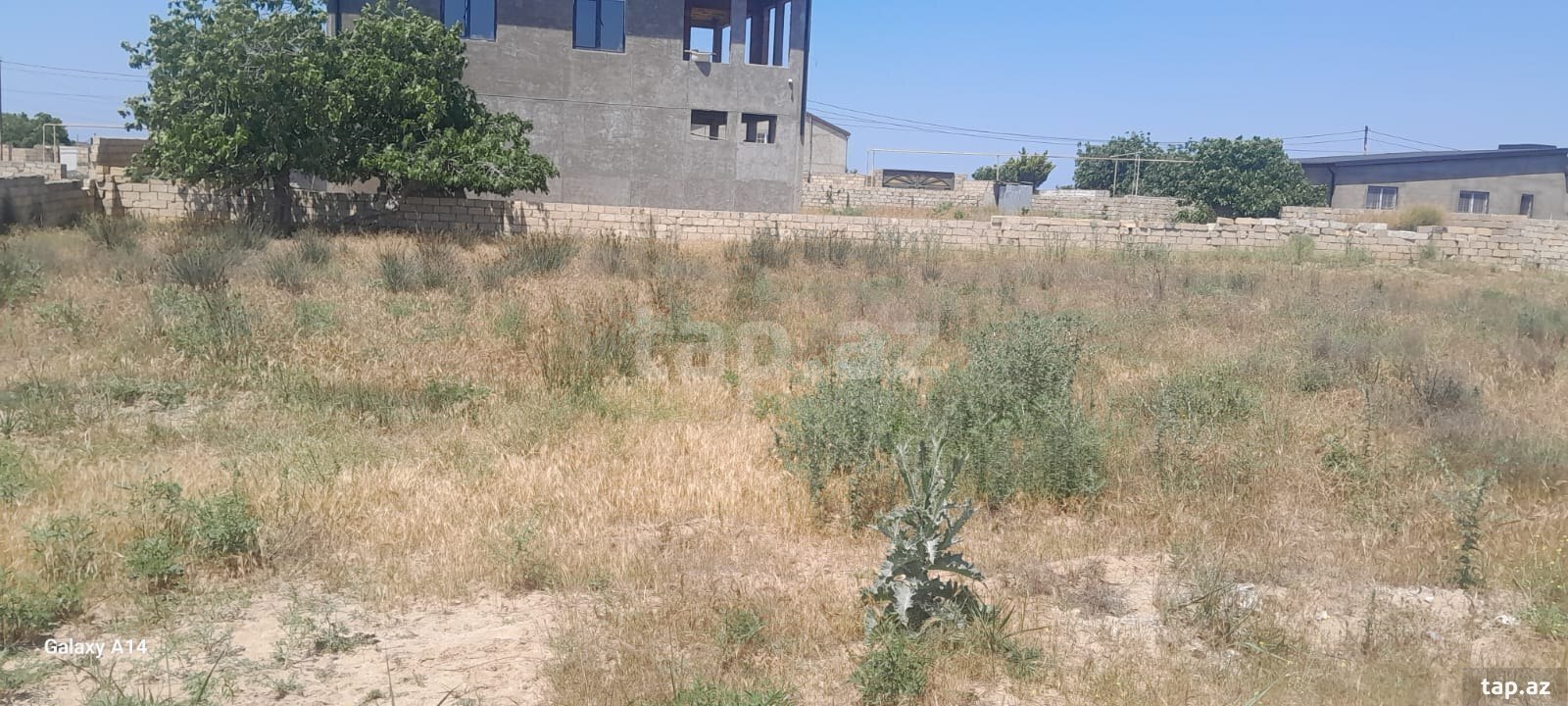 11.5 sot torpaq sahəsi, Nardaran bağlar massivi (6)