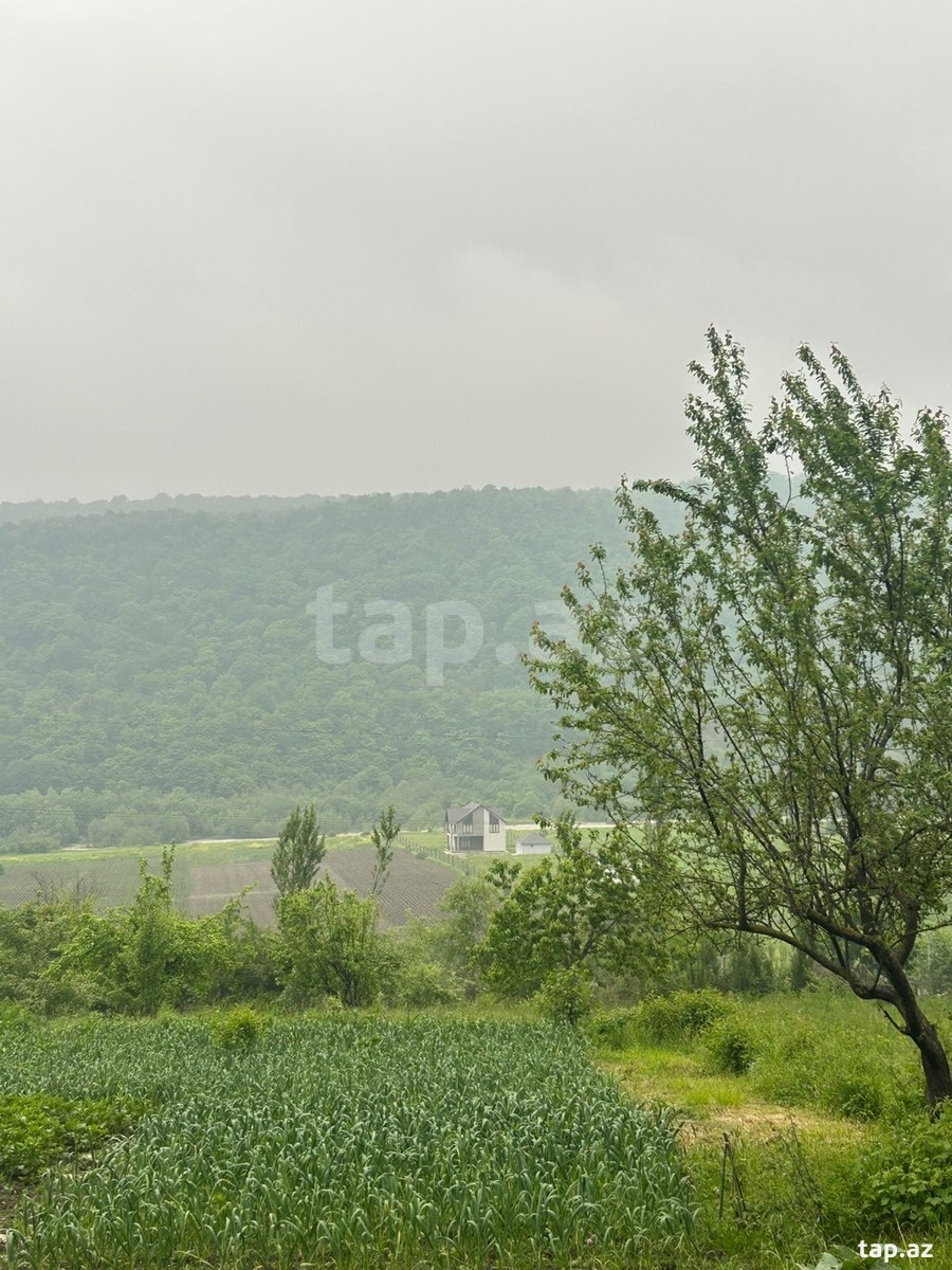 6 sot torpaq sahəsi, Qusar r. (3)