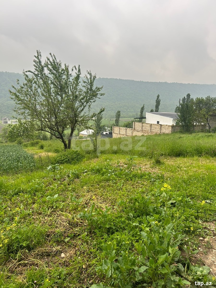 6 sot torpaq sahəsi, Qusar r.