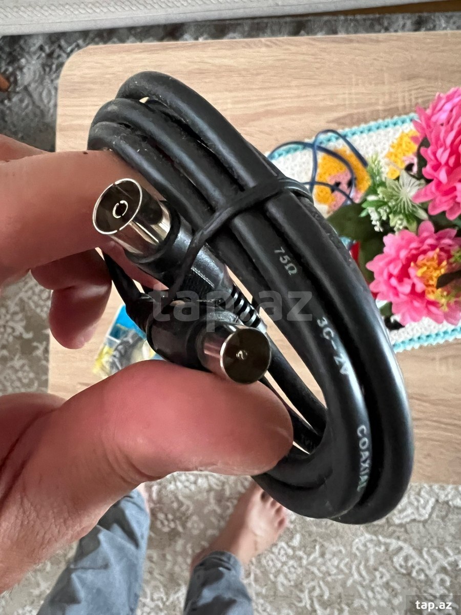 Kabel Tulpanlar