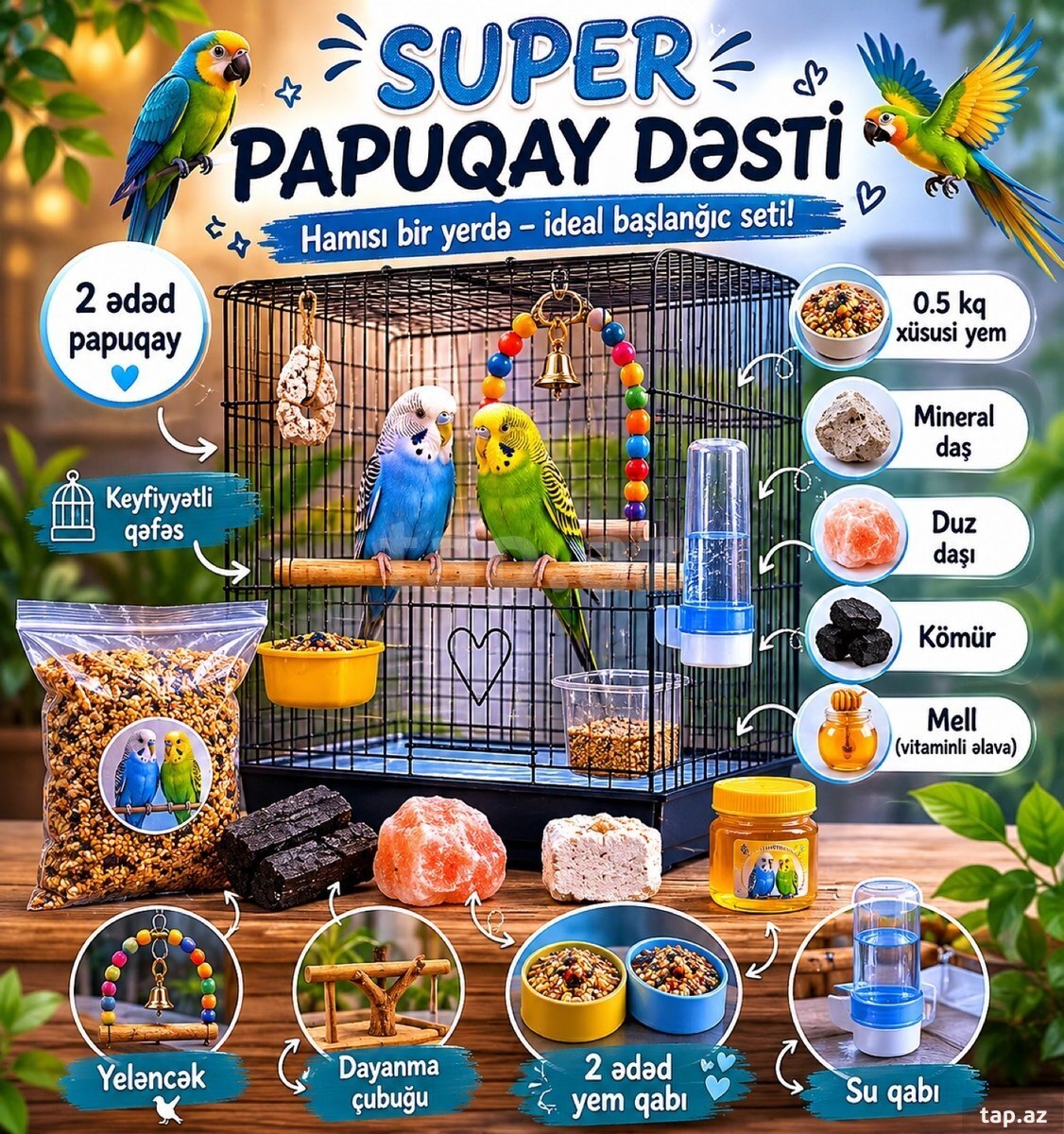 Tutuquşular