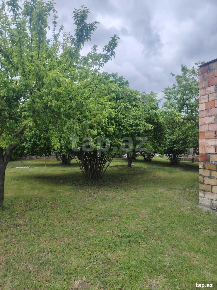 Həyət evi, İsmayıllı r. (20)