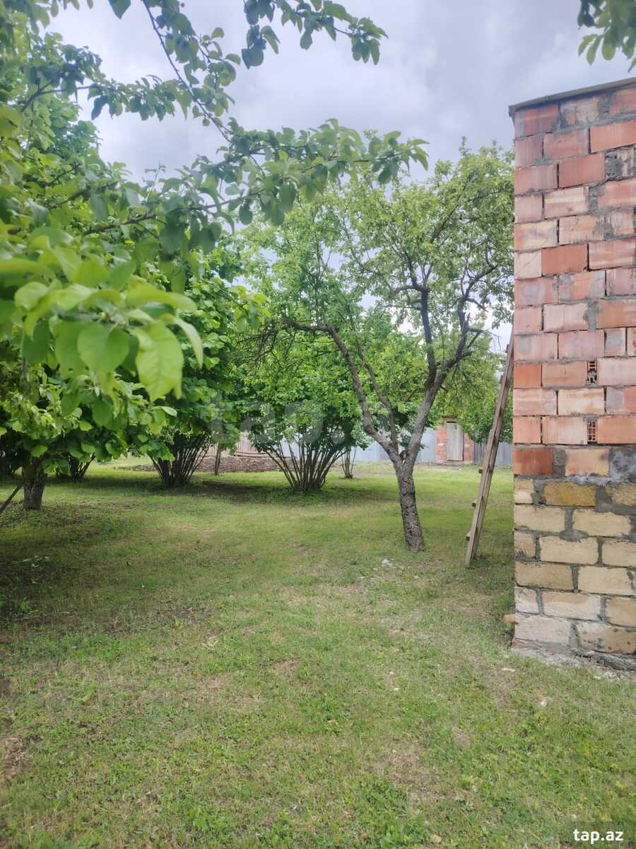 Həyət evi, İsmayıllı r. (13)