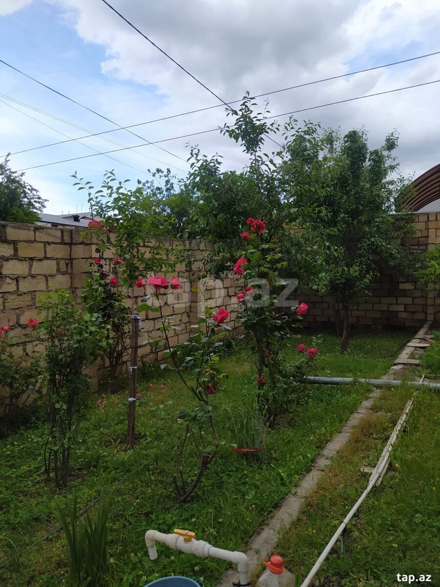 Həyət evi, Gəncə ş.