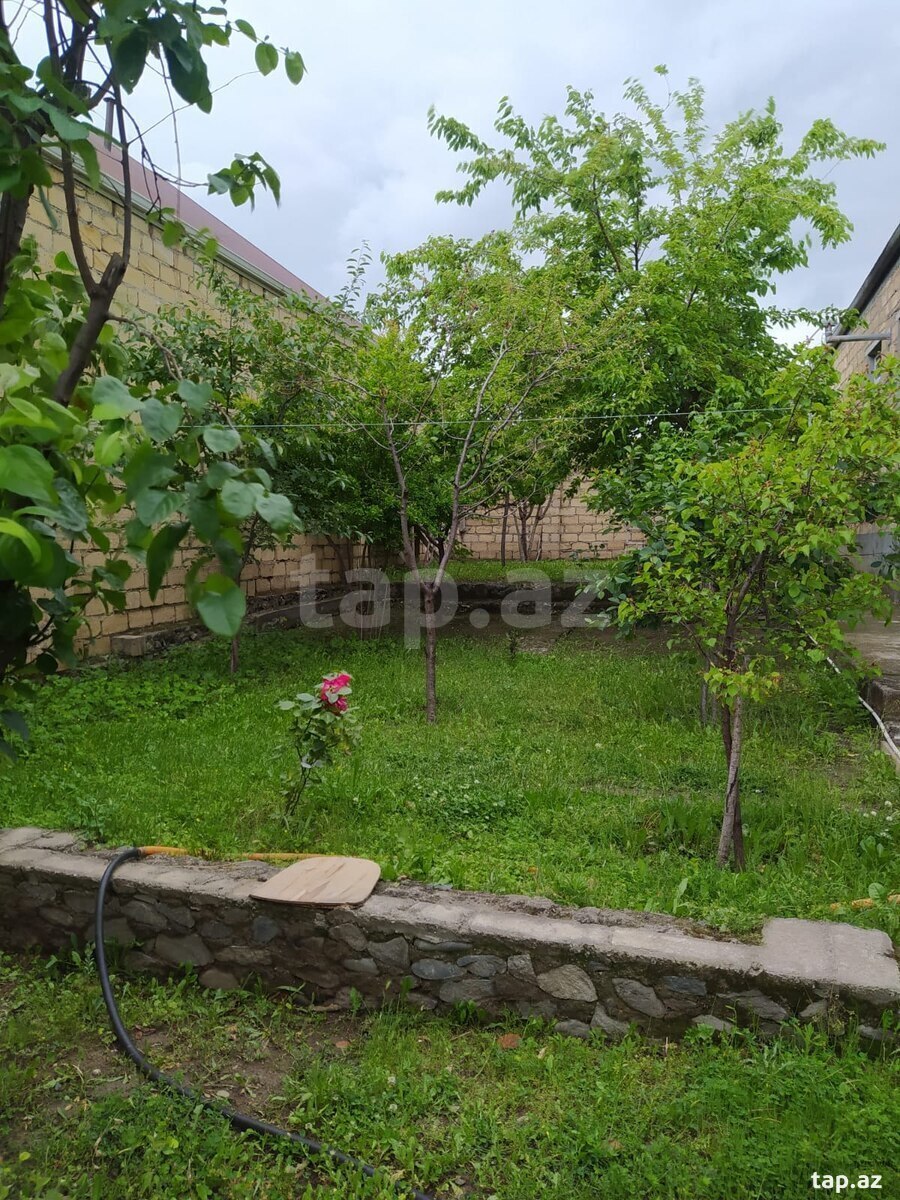 Həyət evi, Gəncə ş.