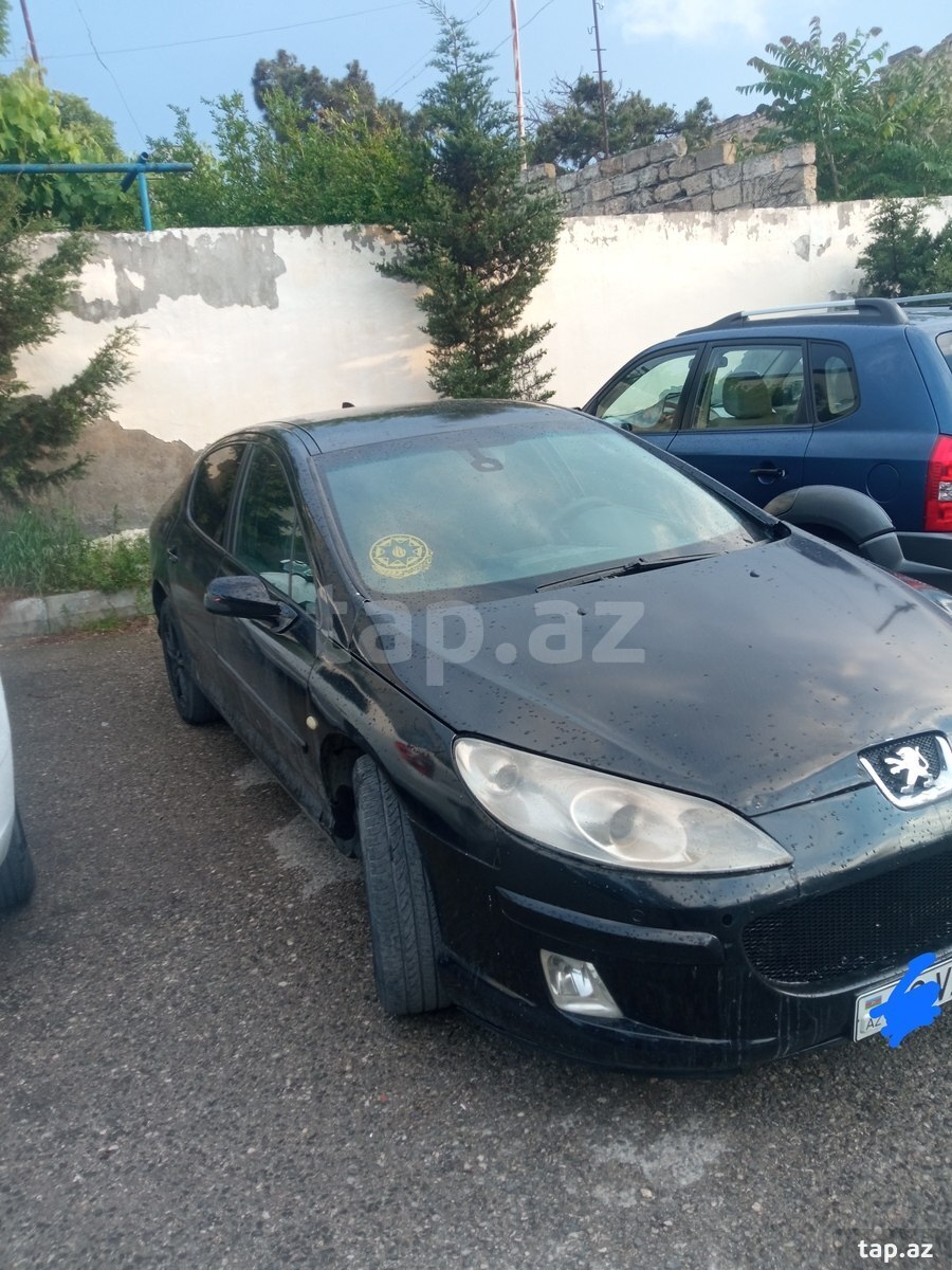 Peugeot 407, 2004 il (3)