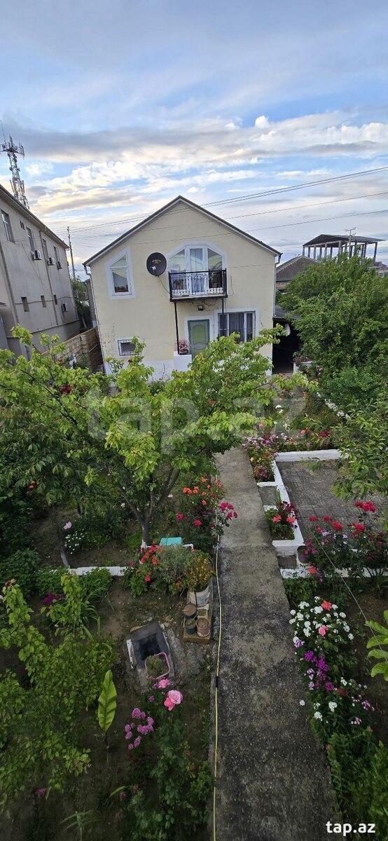 Həyət evi, Saray qəs. (8)