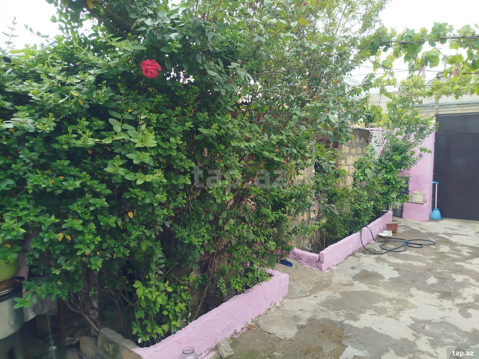 Həyət evi, Binəqədi qəs. (5)