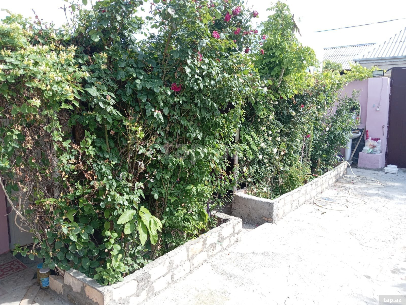 Həyət evi, Binəqədi qəs. (18)
