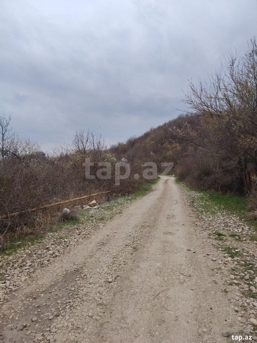 14 sot torpaq sahəsi, İsmayıllı r.