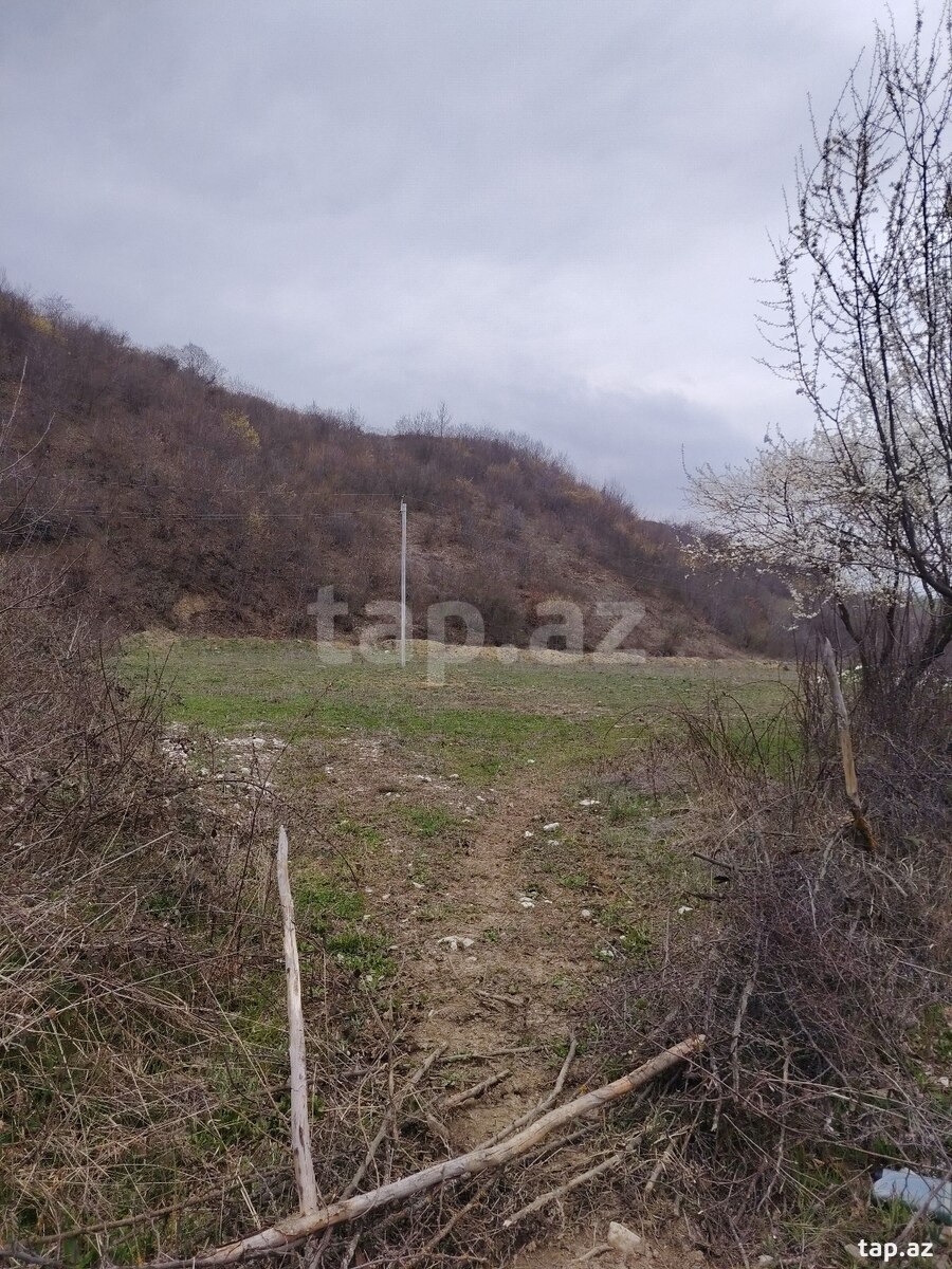 14 sot torpaq sahəsi, İsmayıllı r.