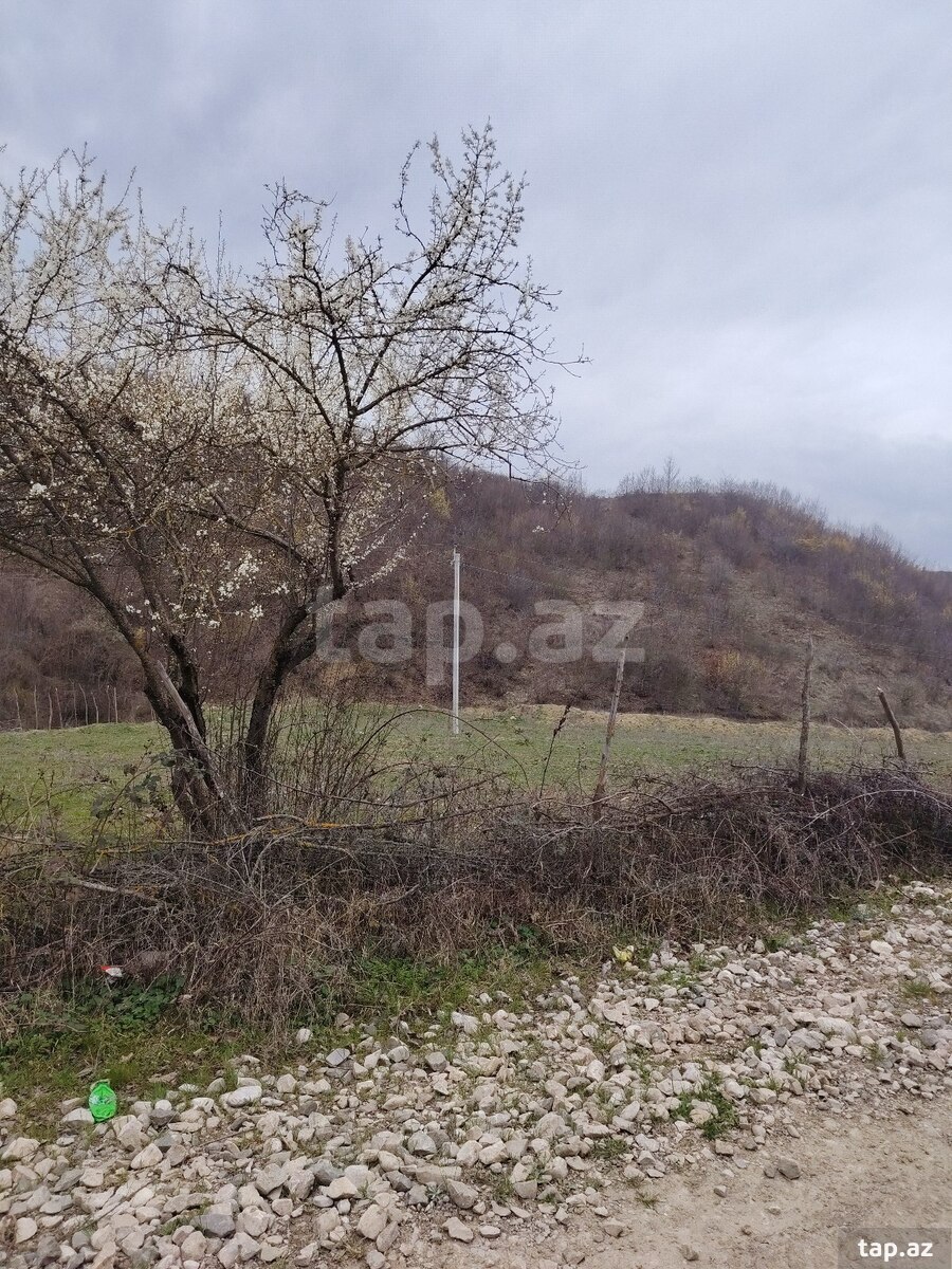 14 sot torpaq sahəsi, İsmayıllı r.