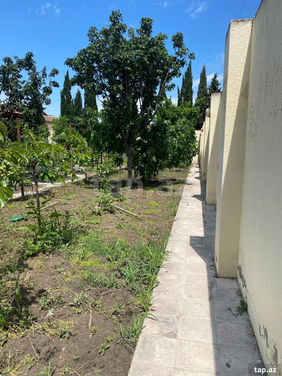 Həyət evi, Pirşağı qəs. (8)