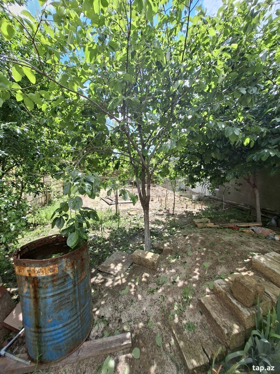 Həyət evi, Sumqayıt ş.