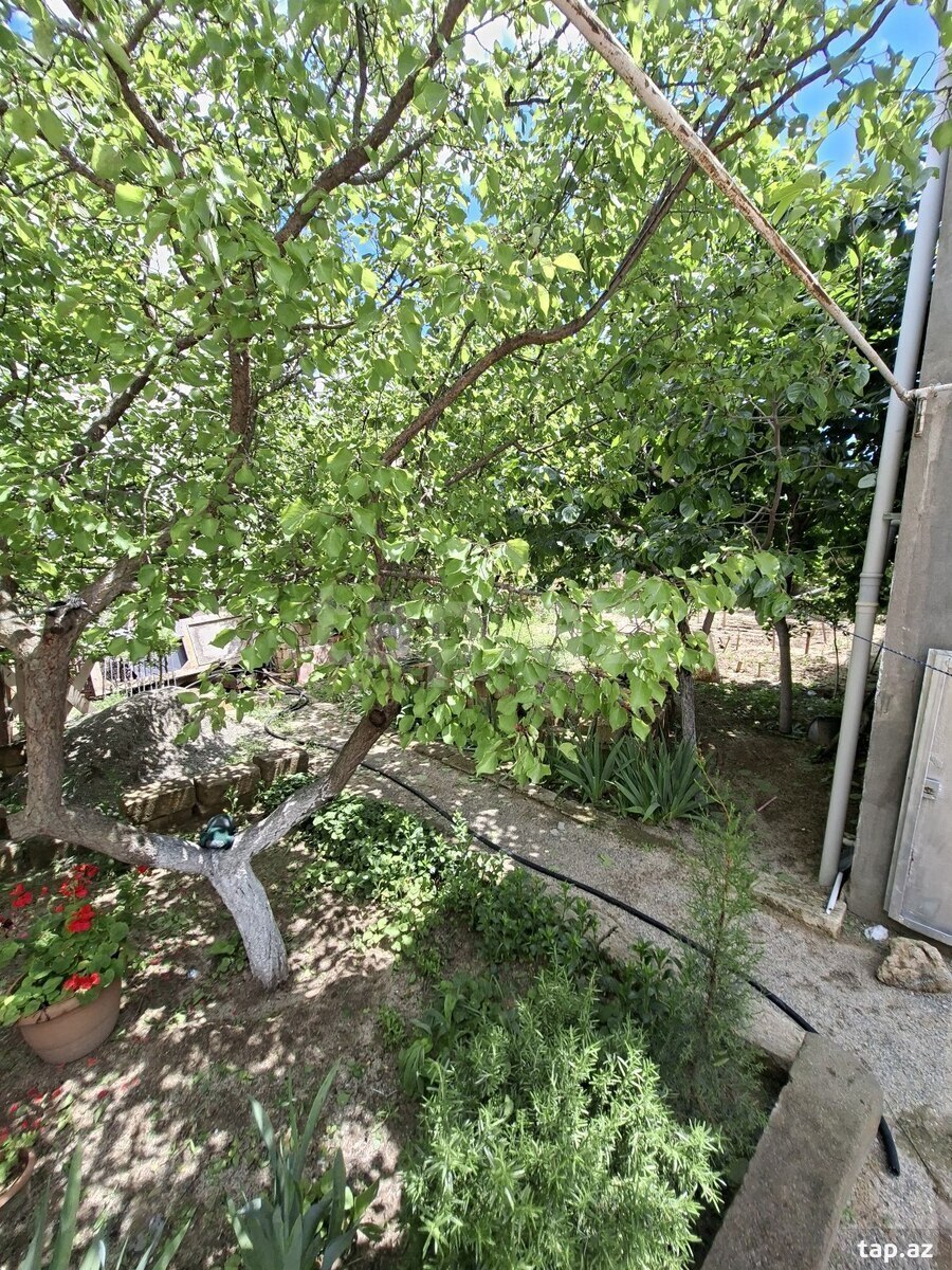 Həyət evi, Sumqayıt ş.