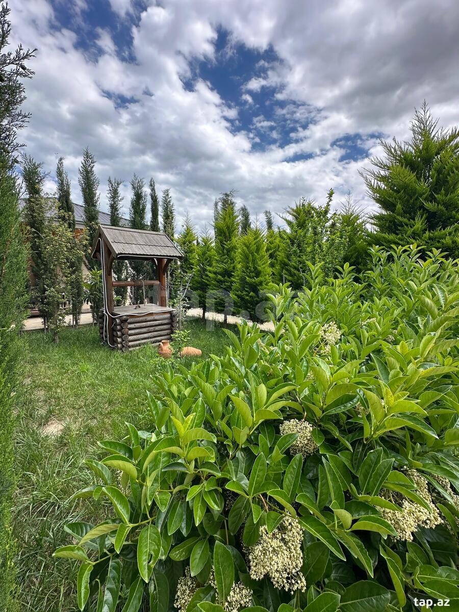Villa, Bilgəh qəs. (9)