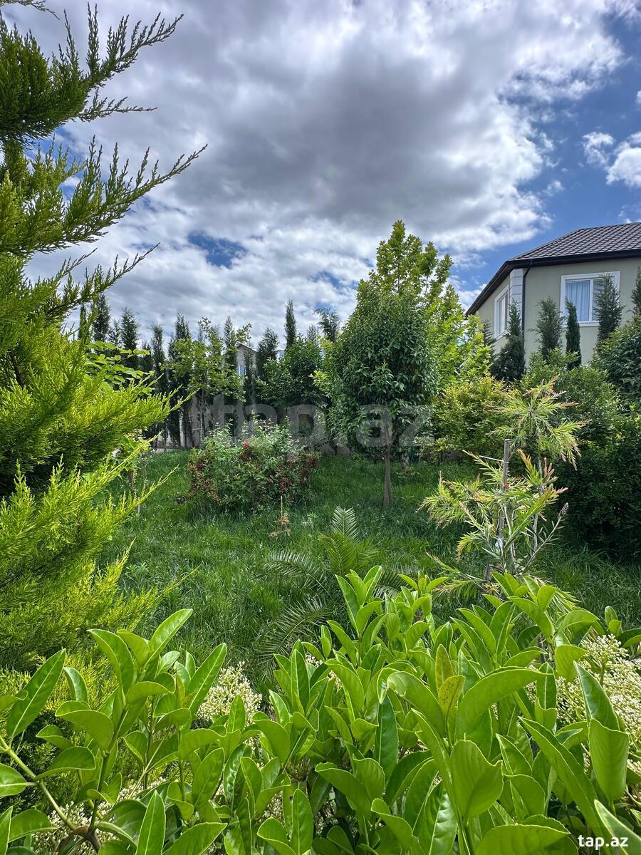 Villa, Bilgəh qəs. (11)