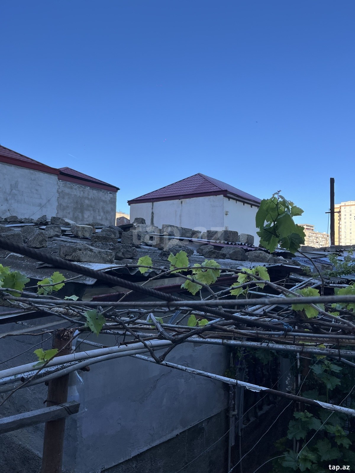 Həyət evi, Süleyman Sani Axundov küç.5 (9)