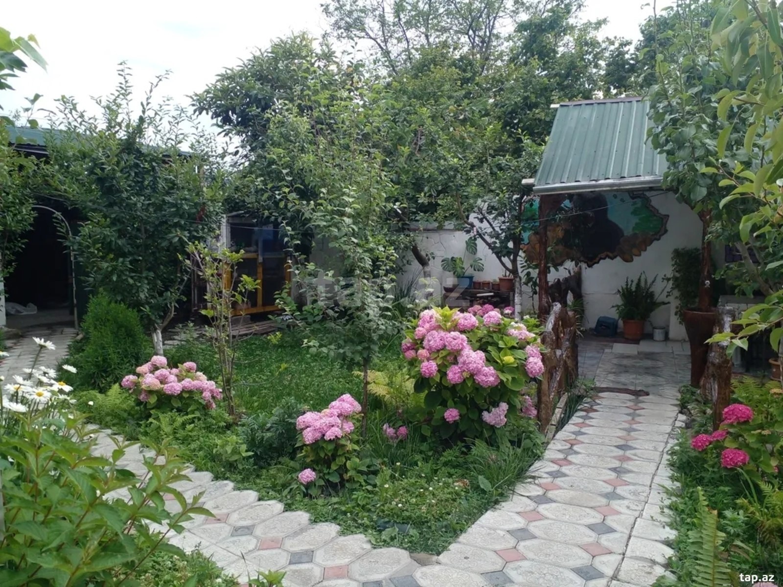Həyət evi kirayə verilir, Qax r. (3)