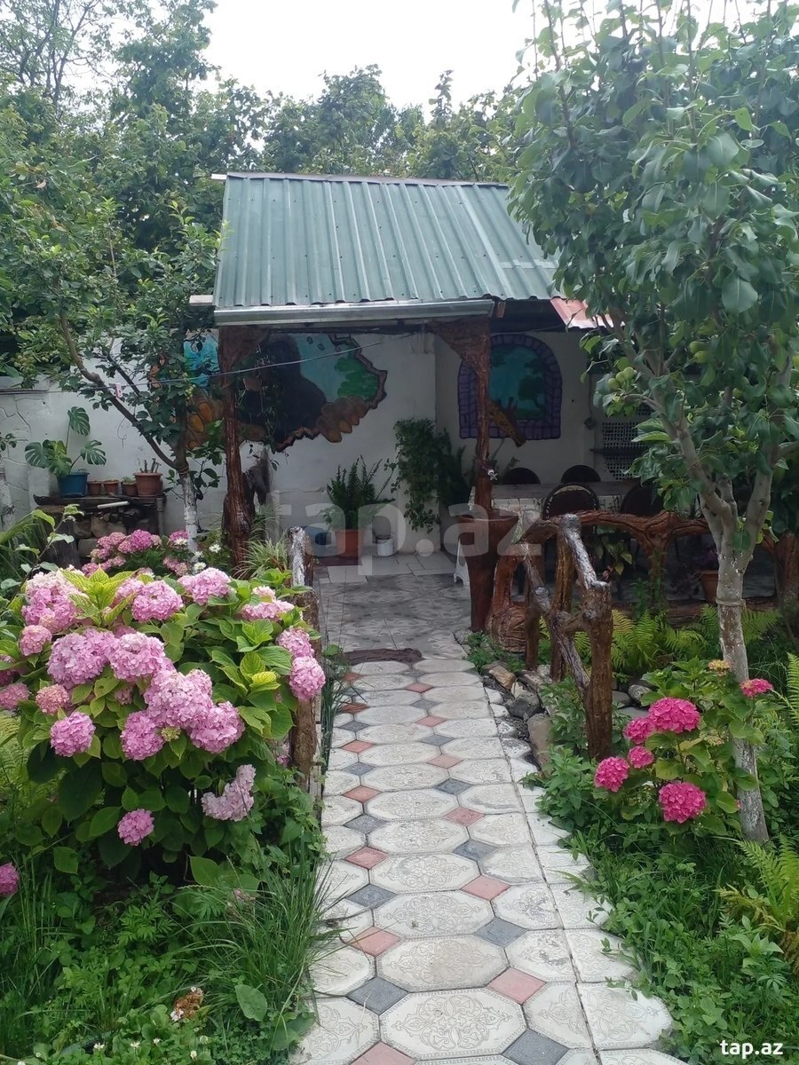Həyət evi kirayə verilir, Qax r. (2)