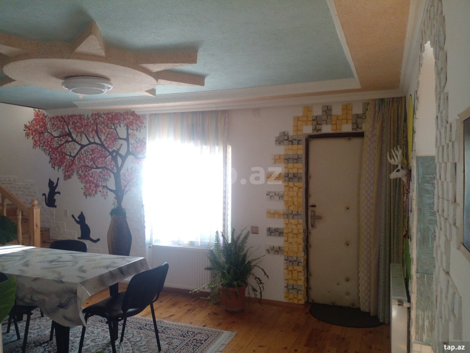 Həyət evi kirayə verilir, Qax r. (10)
