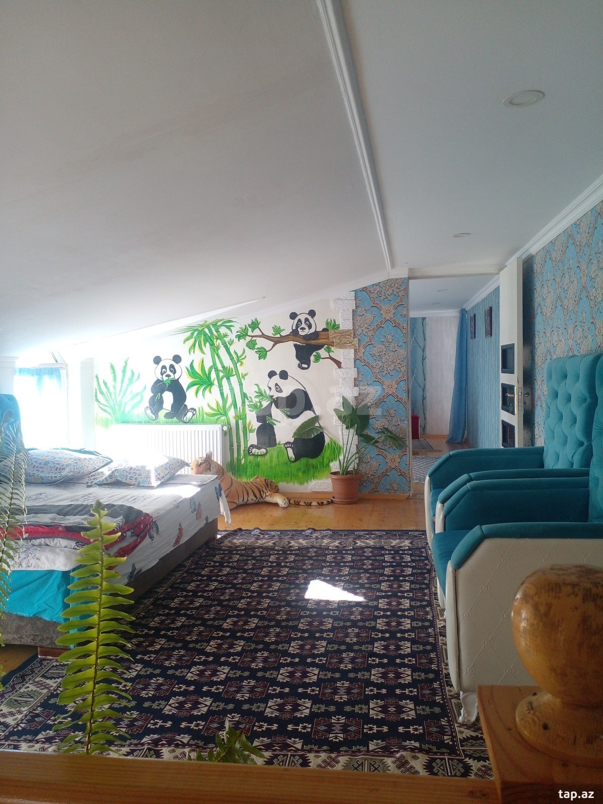Həyət evi kirayə verilir, Qax r. (16)