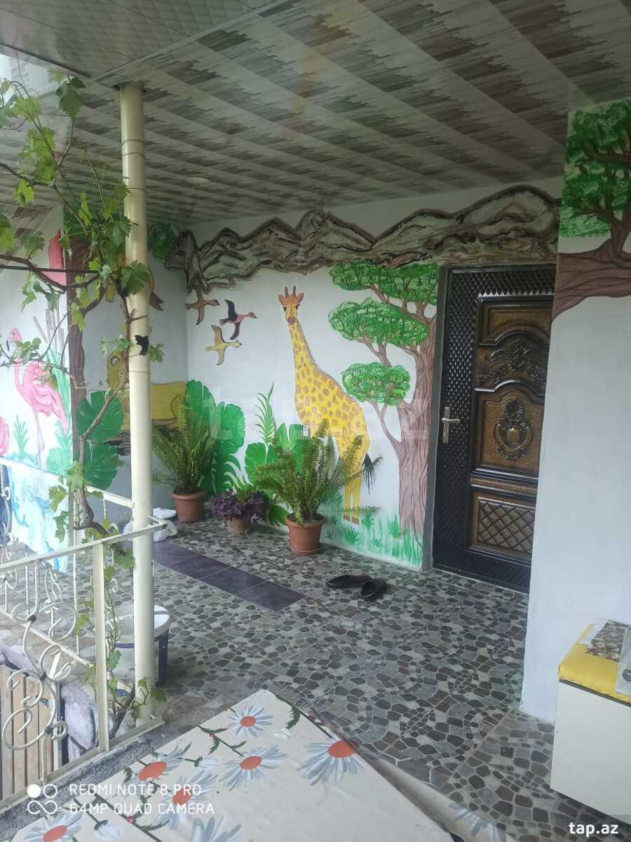 Həyət evi kirayə verilir, Qax r. (20)