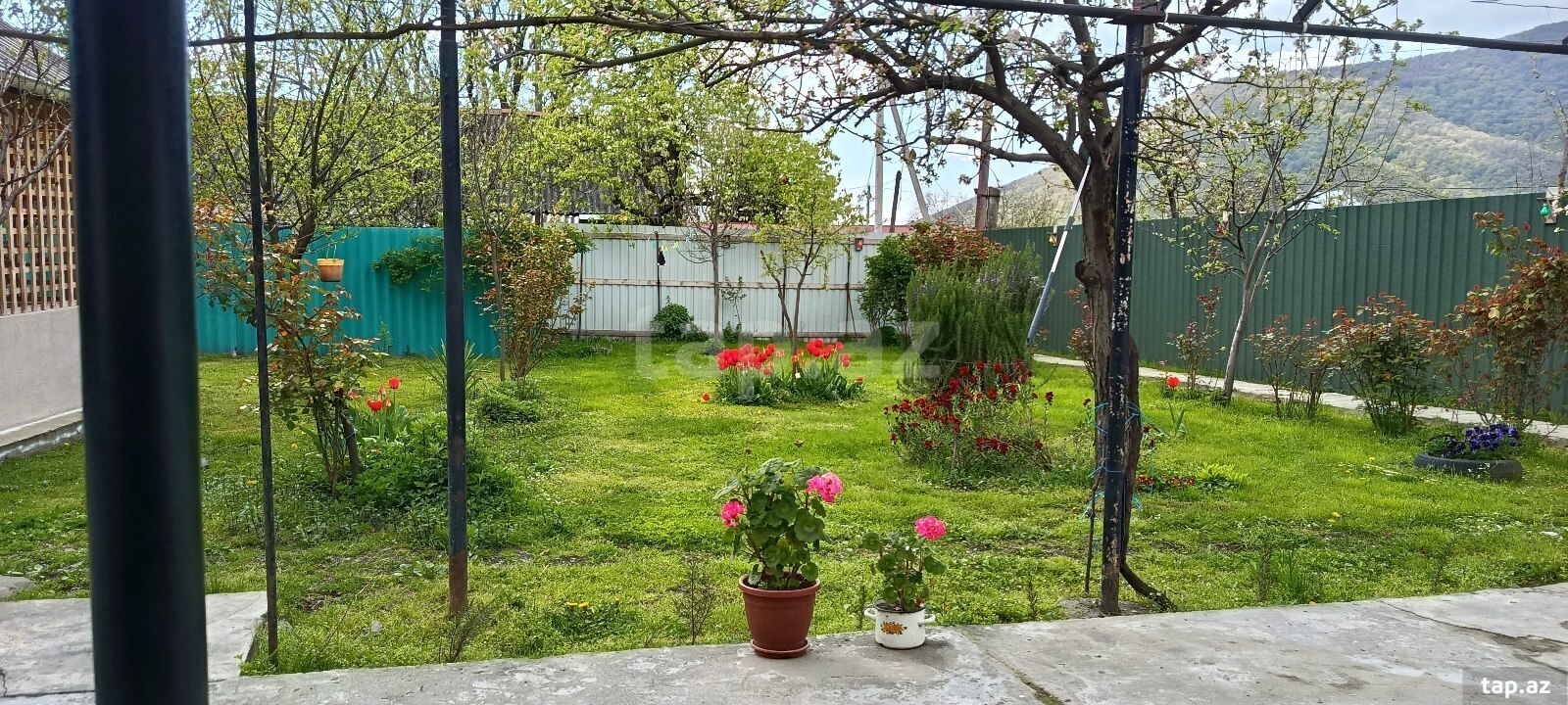 Həyət evi kirayə verilir, Qax r. (13)