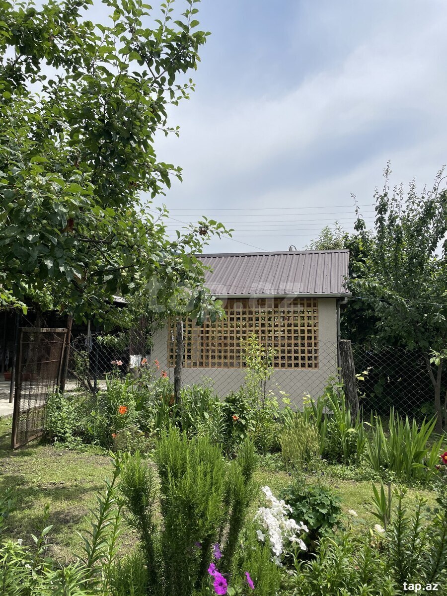 Həyət evi kirayə verilir, Qax r. (11)